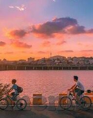 100万足球比分直播-揭秘100万足球比分直播背后的产业生态，技术、数据与商业的交响曲