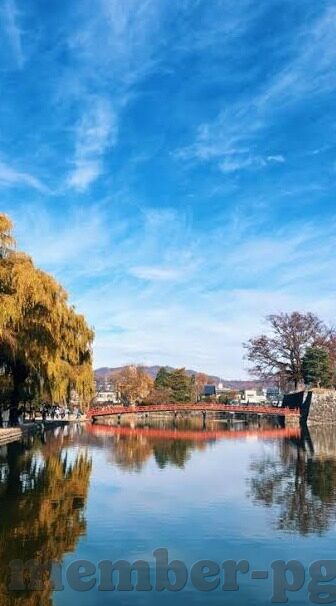 九游app下载版ios-探索九游iOS版应用，丰富多彩的移动娱乐新天地