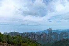 森林舞会街机地点-森林舞会，在街机地点中的自然韵律